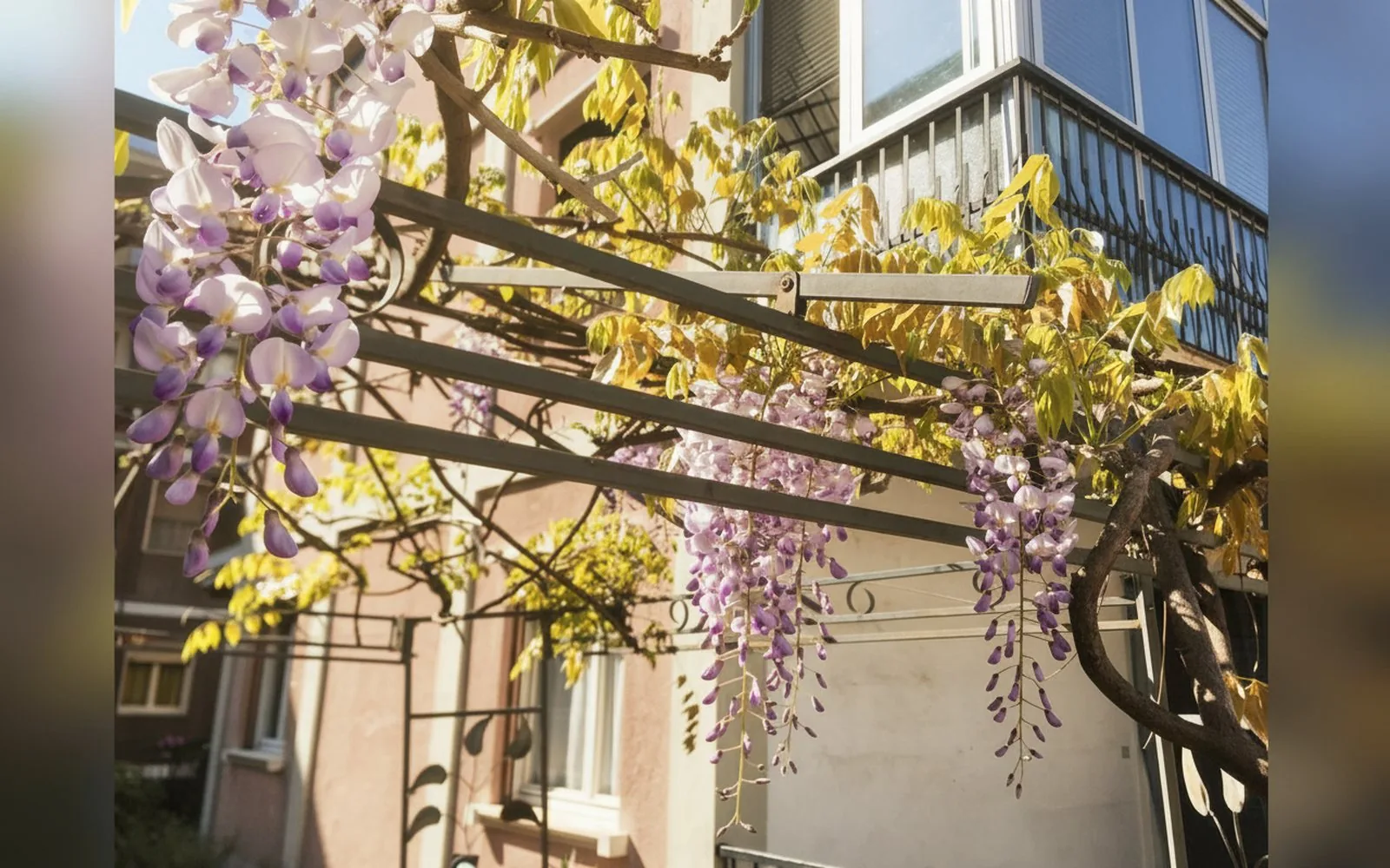 Il Broletto B&B,  — galleria foto 29